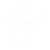 spider web in white